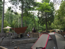 ドックフリーサイト