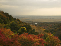 ◆森景客室◆【二人静・れんげ・すみれ】(10畳+広縁)～[養老の森]に包まれる～