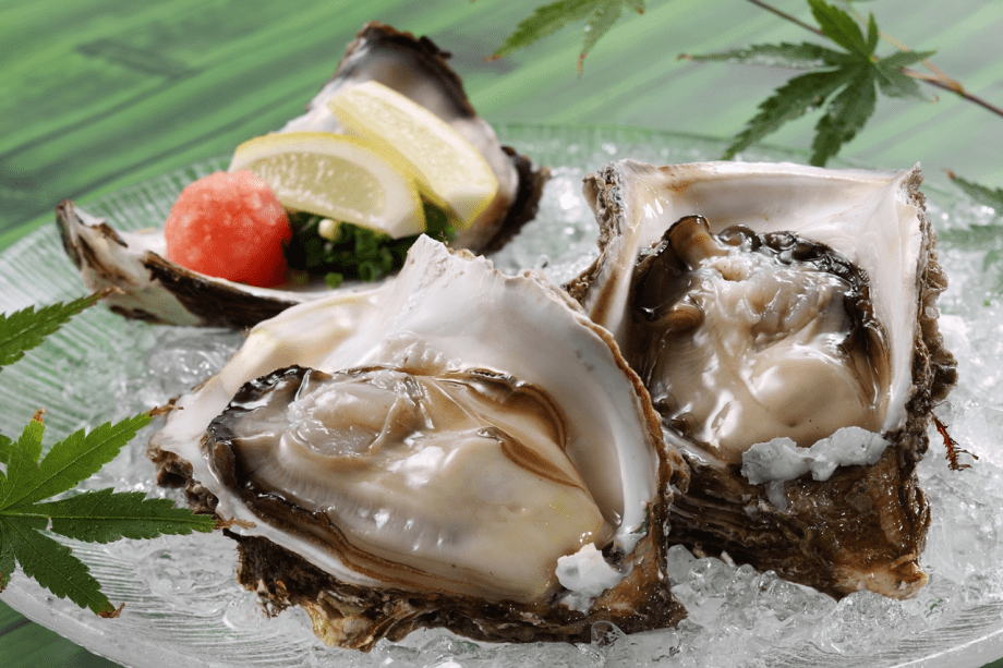 【岩ガキ】夏が旬の岩ガキはサイズだけでなく旨みも格別です。