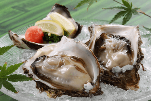 【岩ガキ】夏が旬の岩ガキはサイズだけでなく旨みも格別です。