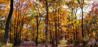 Bサイト【林間AC電源付きサイト】