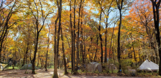 ダブルBサイト【林間AC電源付き2区画サイト】