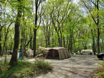 Aサイト【林間AC電源無しサイト】