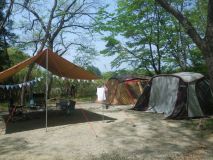 ダブルAサイト【林間AC電源無し2区画サイト】