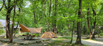 Bサイト【林間AC電源付きサイト】