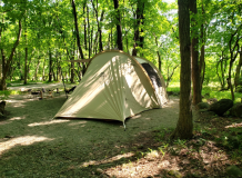 Fサイト【林間AC電源無しサイト】