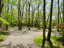 ソロプラン【林間AC電源無しサイト】