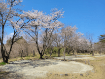 デイキャンプ【日帰りキャンプ】【林間サイト】