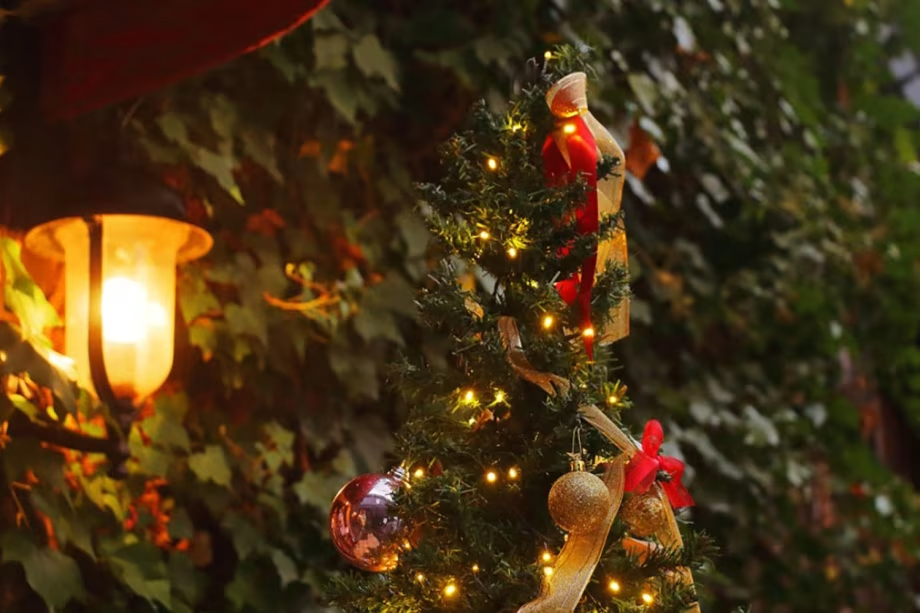 今年の12月が、ホワイトクリスマスになりますように・・・。