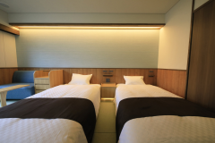 현대 일본식 트윈