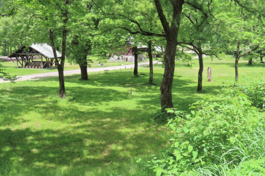 鳥取砂丘目の前！家族で砂丘キャンプを楽しめる自然体験型施設！CAMP VILLAGE「砂育（さいく）」で過ごすアウトドアキャンプ
