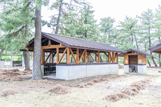 鳥取砂丘目の前！家族で砂丘キャンプを楽しめる自然体験型施設！CAMP VILLAGE「砂育（さいく）」で過ごすアウトドアキャンプ