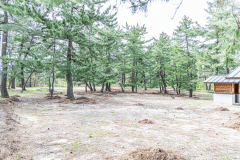 キャンプサイト