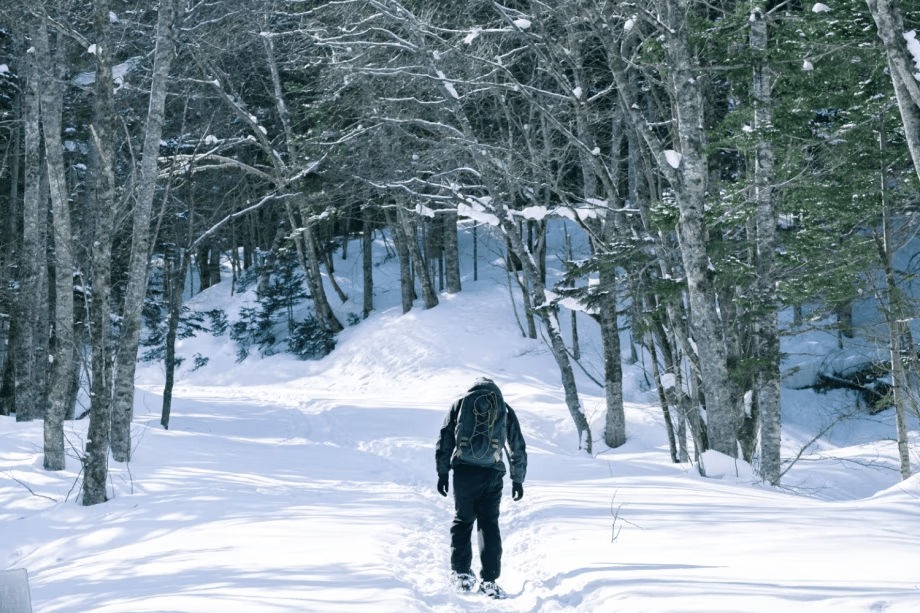 スノーシュープレミアムガイド　2nd【10:30 ～ 13:30】