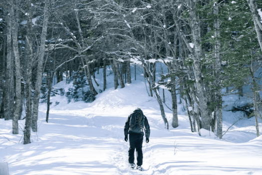 スノーシュープレミアムガイド　1st【7:00 ～ 10:00】