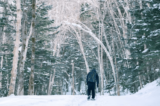 スノーシュープレミアムガイド　2nd【10:30 ～ 13:30】