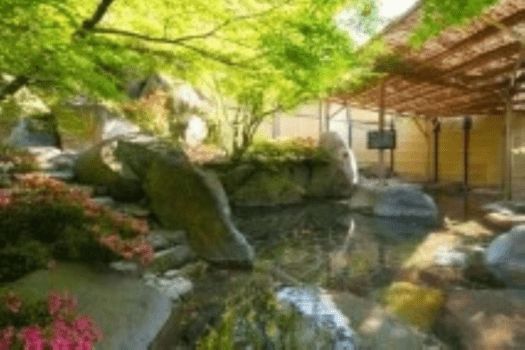 温泉館やわらかな日差しを浴びて森林浴♪