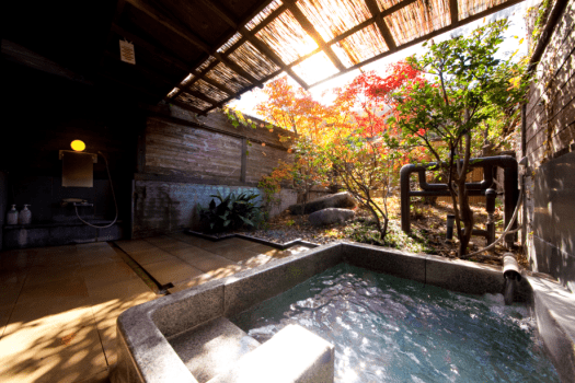 《本日は温泉日和》 露天・サウナで整い 彩り夕食を愉しむ （夕・朝付き）