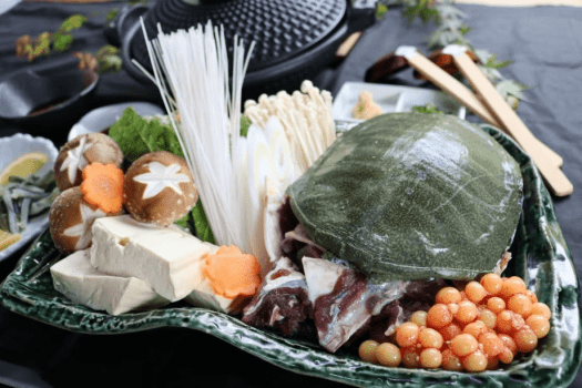 初夏限定で味わえる滋養タップリのスッポン会席