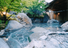 ◇初夏限定◇【2食付き】豊後すっぽん会席～6・7月限定、滋養あふれる夏の膳～プラン