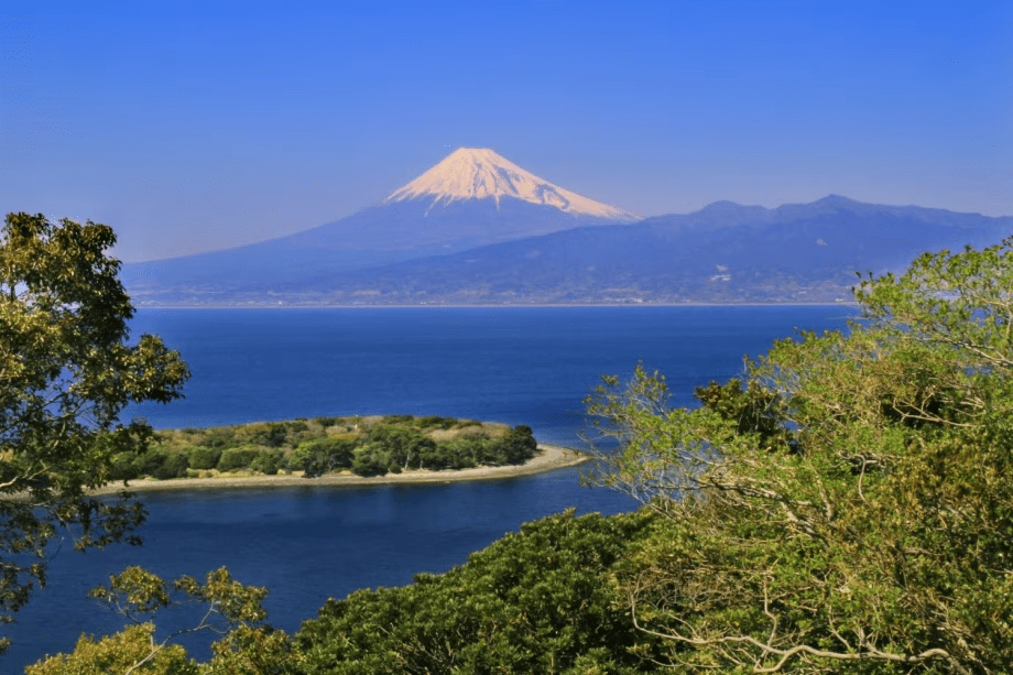 ダイビングスポット「大瀬崎」まで、当館から車で30分