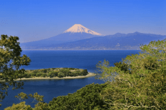 ダイビングスポット「大瀬崎」まで、当館から車で30分