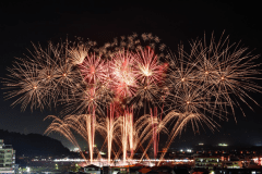 夜空を彩る花火