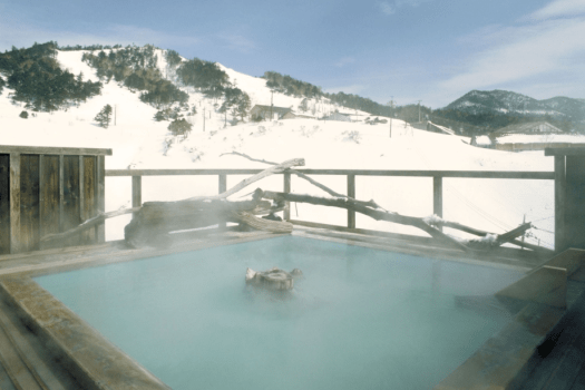 【夫婦・カップル・友達ペアプラン】ご夕食時に今話題のオオズワイガニを満喫！（夕朝食付）【ポイント5％】《CA001》