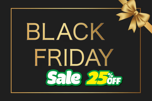 軽井沢送迎駅送迎付きブラックフライデーセール