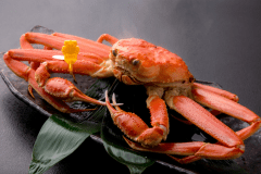 タグ付越前蟹■2人で1杯ゆで蟹付き会席■冬の満月会席味わいプラン（中サイズ700gの蟹を使用）