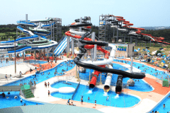 人気♪芝政ワールド1dayパスポート付き宿泊プラン