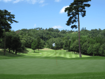 ゴルフと温泉・美味満喫　越前満月オリジナルプラン