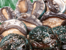 縁起の鮑◆美味しさいっぱい大洗♪一口あわび＆海の幸に舌鼓♪≪ご当地グルメ≫