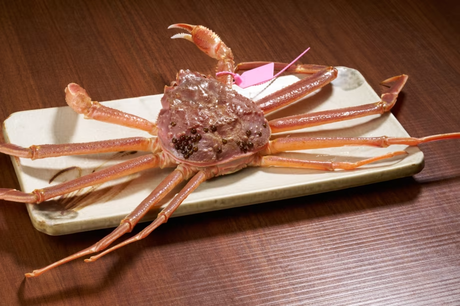 【日帰り昼食M松葉かにコース】ALL松葉蟹!活松葉蟹を存分に♪ 【日帰り昼食M松葉かにコース】ALL松葉蟹!活松葉蟹を存分に♪