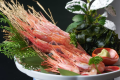 追加オプション　甘エビお造り