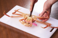 【日帰り夕食Cかにフルコース】本命かにちゃんにまっしぐら！プリップリ活かにのお造りに舌鼓♪