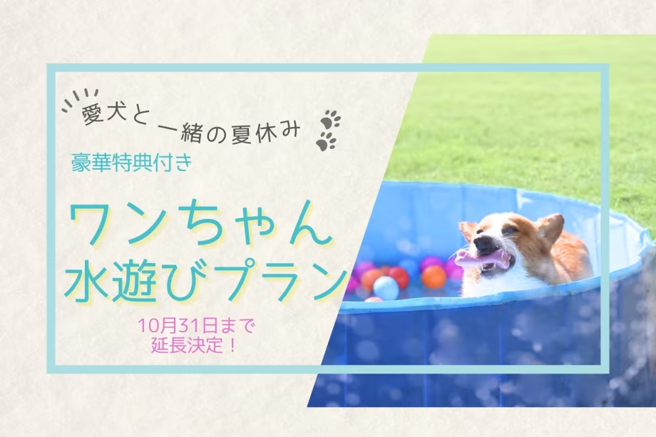 ■オープン1周年記念・第5弾■特別タイムセール30％OFF＆愛犬と”水遊び”満喫プラン～ワンちゃん大はしゃぎのドッグプール＆ひんやり特典付き♪秩父別邸 木叢 -komura-
