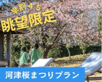 河津桜まつり　眺望限定　早割４５