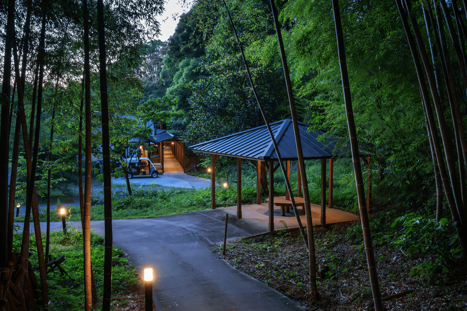 静寂が増していく夜の森の中で、自然と対話する静かなひとときをどうぞ。