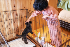 家族旅行はワンちゃんも一緒に。客室に露天風呂も完備でゆったりお寛ぎいただけます。 家族旅行はワンちゃんも一緒に。客室に露天風呂も完備でゆったりお寛ぎいただけます。