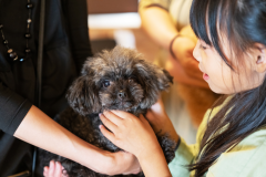 家族旅行はワンちゃんも一緒に。客室に露天風呂も完備でゆったりお寛ぎいただけます。