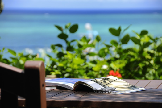 テラス席で自然を感じながら読書を楽しむことができます