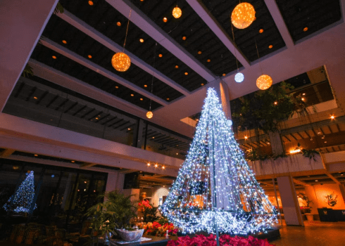 クリスマスツリーイメージ