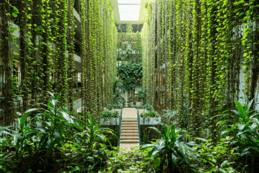 ポトスのカーテンに囲まれたアトリウム