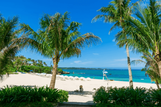 ビーチイメージ