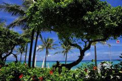 Early Bird 14 days<Including breakfast> Early Bird 14 days<Including breakfast>