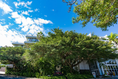 Early Bird 28 days<Including breakfast> Early Bird 28 days<Including breakfast>