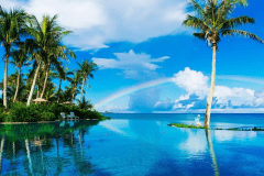 【夏サキドリ】90日前までのご予約におすすめ(朝食付）