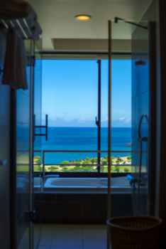 corner suite bathroom