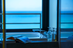 Corner suite bathroom